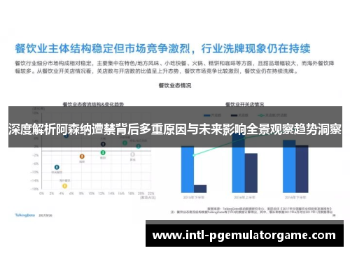 深度解析阿森纳遭禁背后多重原因与未来影响全景观察趋势洞察